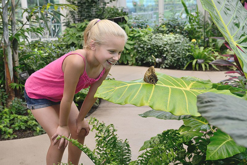 Hershey_Conservatory_Butterfly_Atrium_Girl_credit_Hershey_Foundation_2__9cf0d028-fa09-4e20-81d1-6442f00ff762.jpg