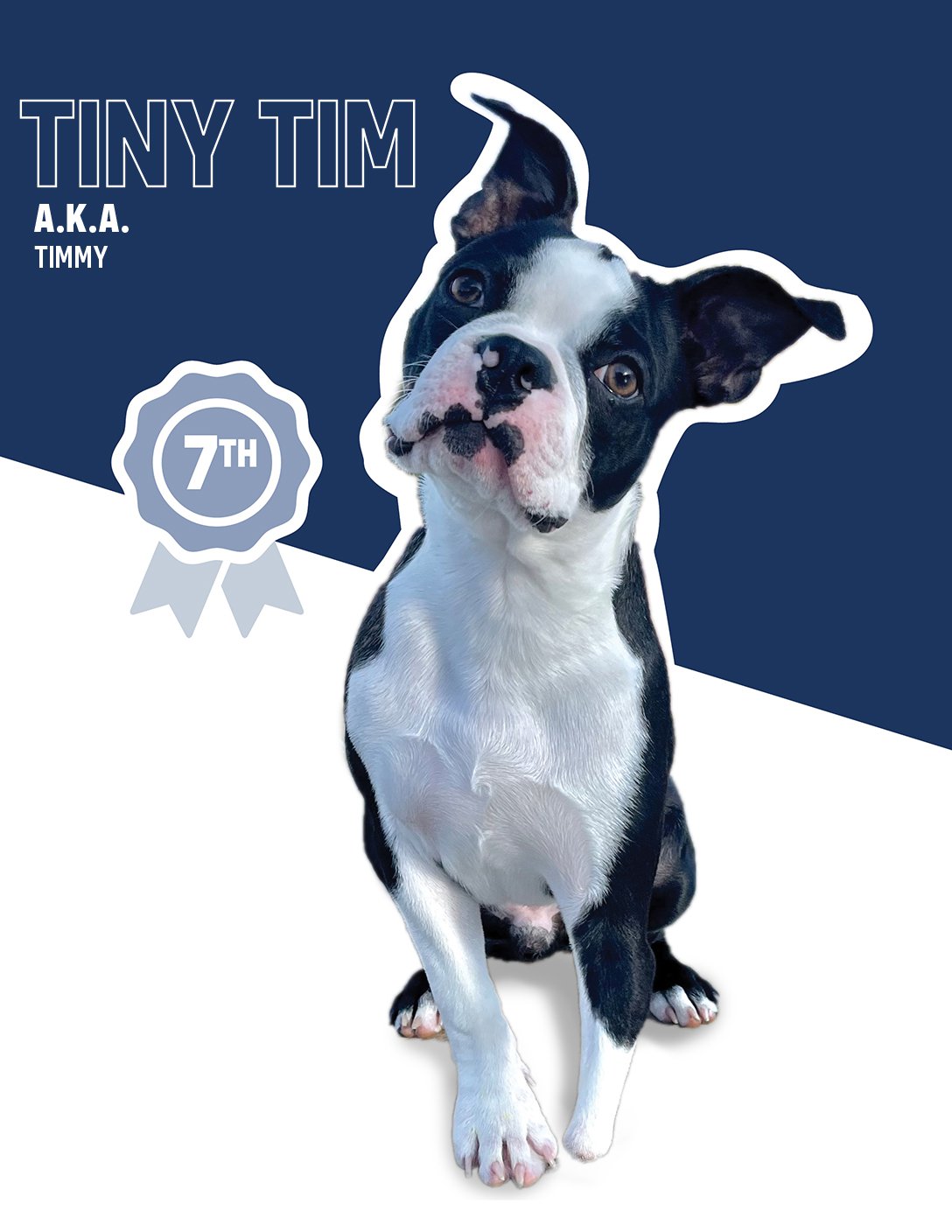 2021 Reader Voted Cutest Pet Contest Susquehanna Style