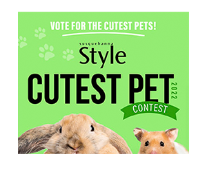 Pet Contest Med Rec - Voting