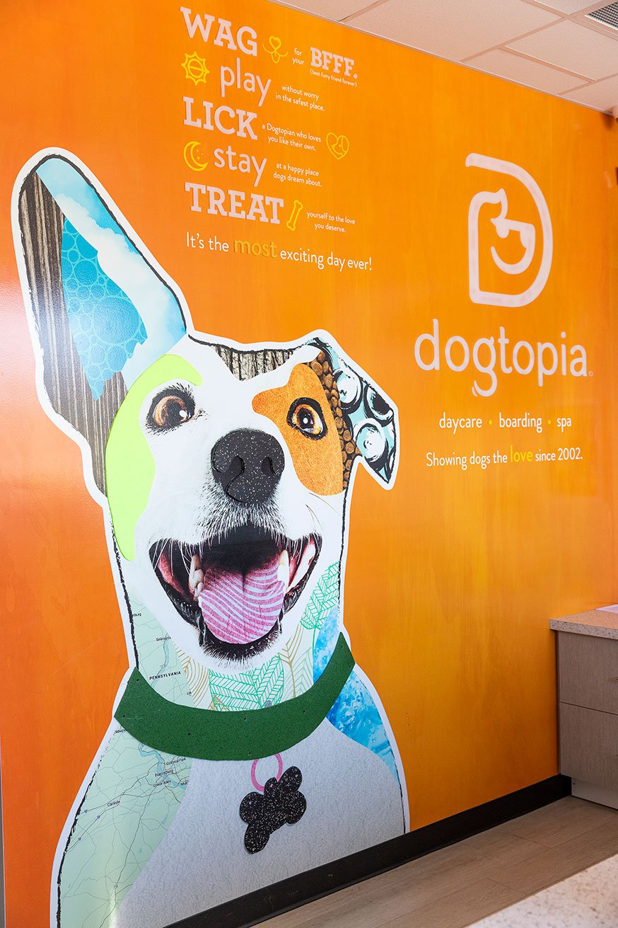 Dogtopia spa best sale