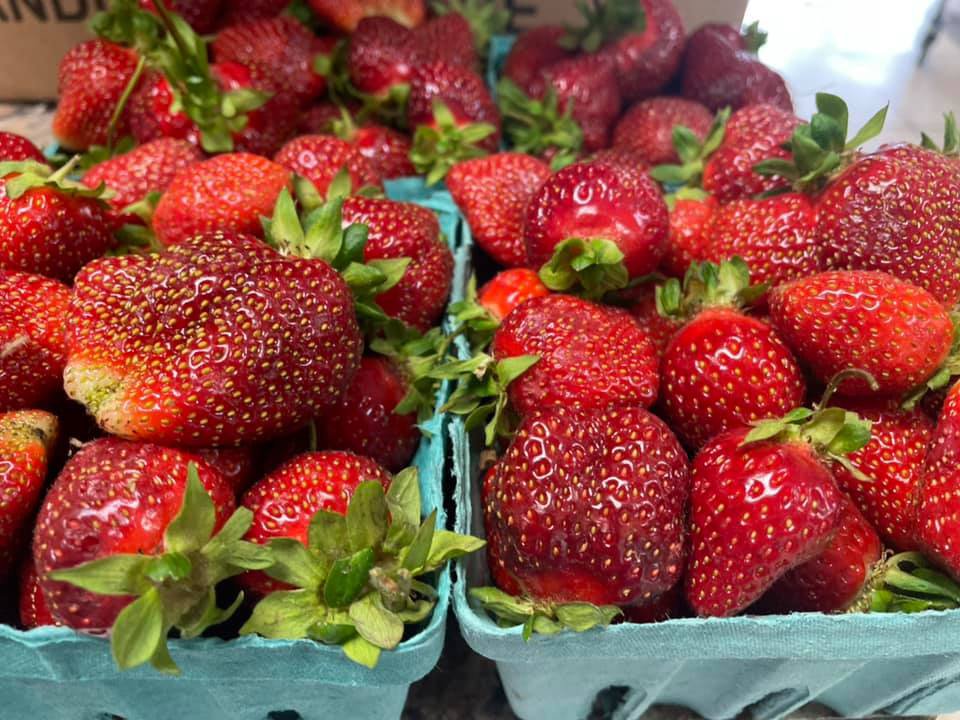 Kauffman-Orchards-Strawberries.jpg