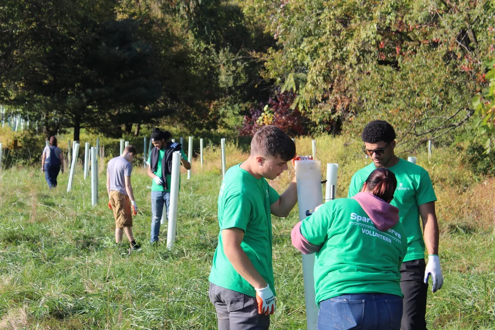 VOLUNTEER fall riparian buffer tending.webp