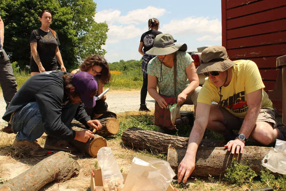 CLASS mushroom cultivation.webp