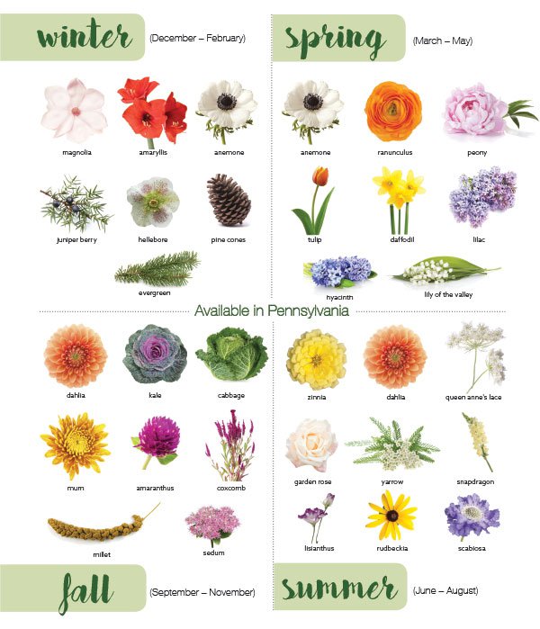 flowerguide.jpg.jpe